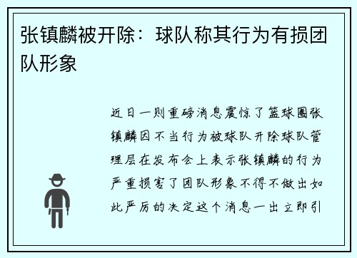 张镇麟被开除：球队称其行为有损团队形象